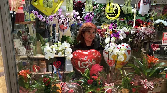 Blanca Floristas - Málaga