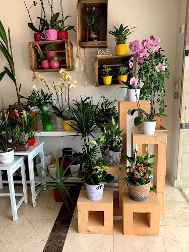 ABRIL FLORISTAS - Coín