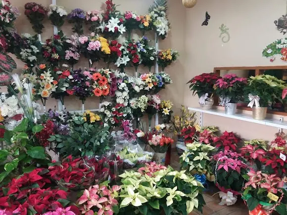 Floristería Ortega - Málaga