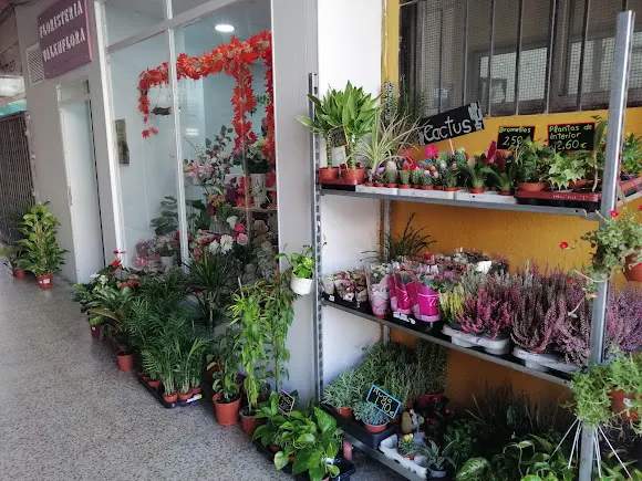 Floristería Valenflora - Málaga