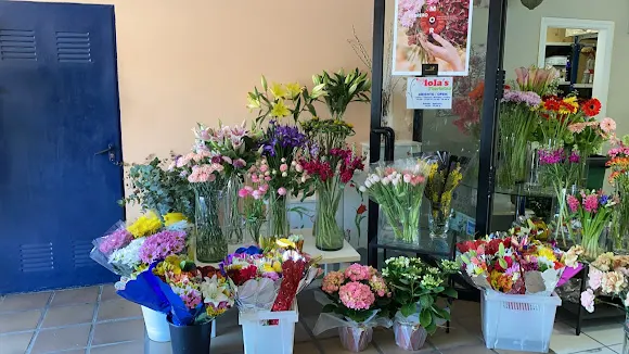 Lola´s Floristas
