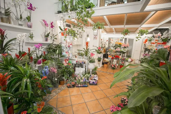Flores Manoli - Málaga