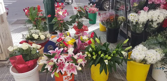 Floristería El Niño - Málaga