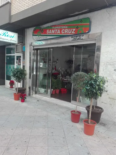 Floristería Santa Cruz - Caravaca de la Cruz