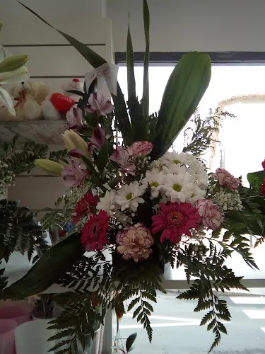 Flores J.M. - San Javier