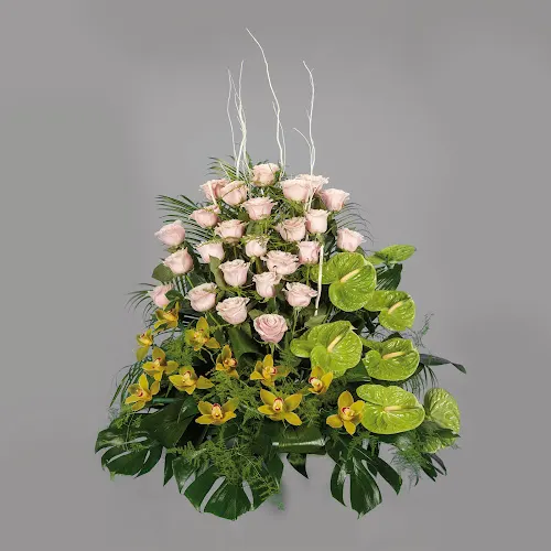 Floristería del Carmen - Alhama de Murcia