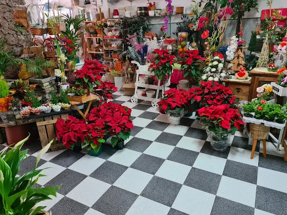 Floristería La Rubia - Alhama de Murcia