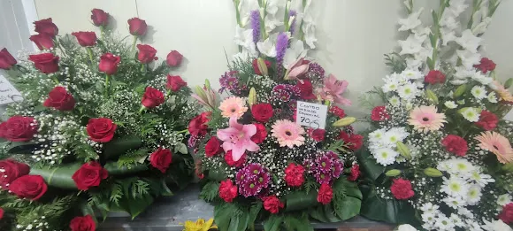 Florhisteria