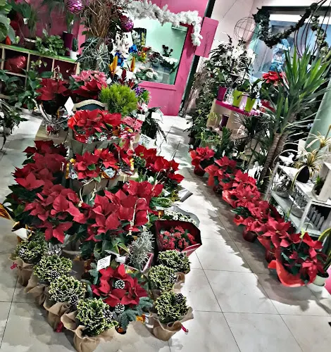 DISELO CON ROSAS - Jumilla
