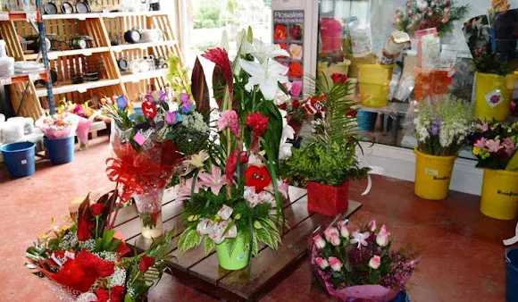 Centro de Jardinería - Floristería La Campana Los Dolores