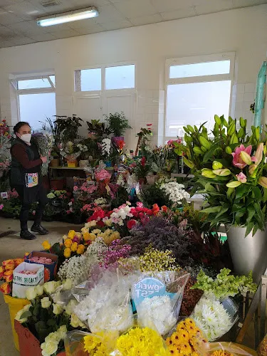 Floristería Pili - Ribadumia