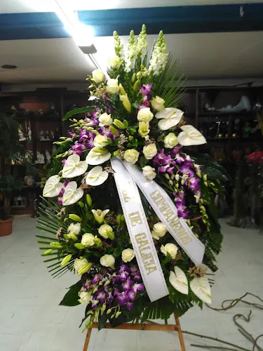 Floristería Elena - Barro