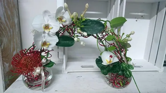 Floristería Lola - Mos