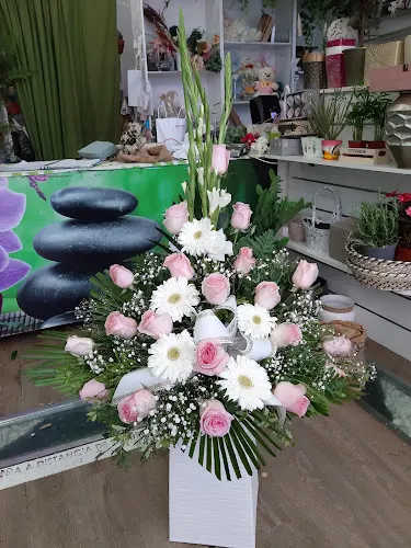 Floristería Bambú - Pontevedra