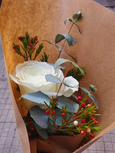 Maribel lolo flores - Pontevedra