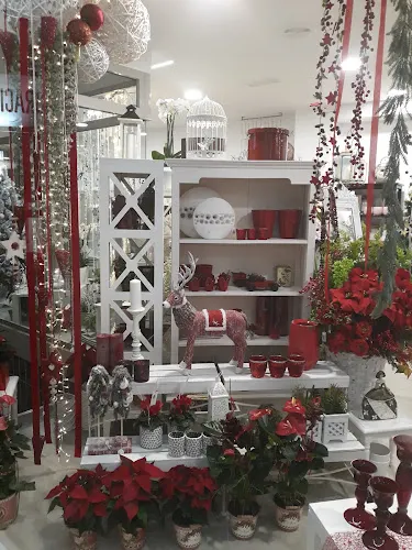 Floraría A Flor - Tui