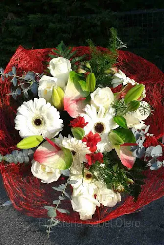 Floristería Isabel Otero - O Grove