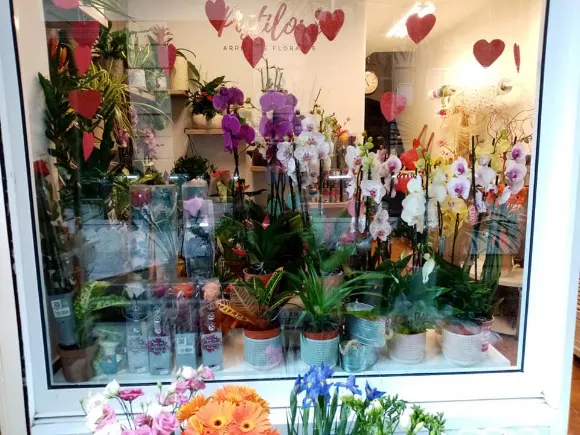 Floristería Pistilos - Vigo