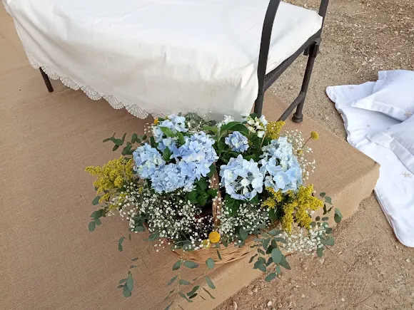 Floristería Beatriz - Lumbrales