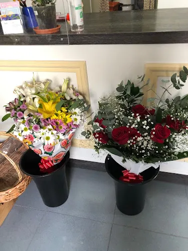 Floristería Viveros Hortplant - Navalmanzano