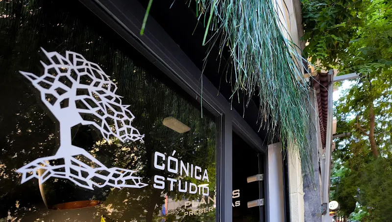 Cónica Studio