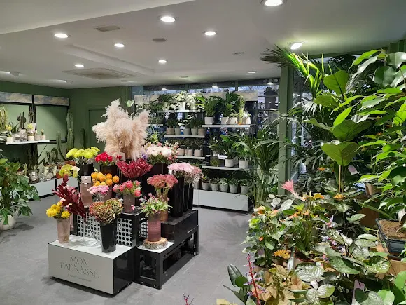 Mon Parnasse Flores - Bruselas - Madrid