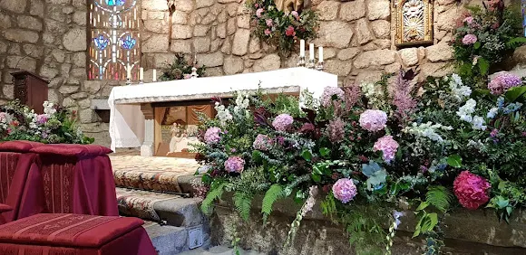 Un patio con flores
