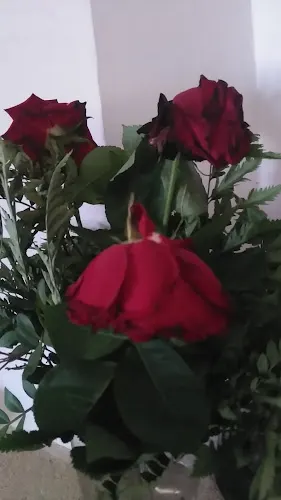 Floristería Ceraflor - Pilas