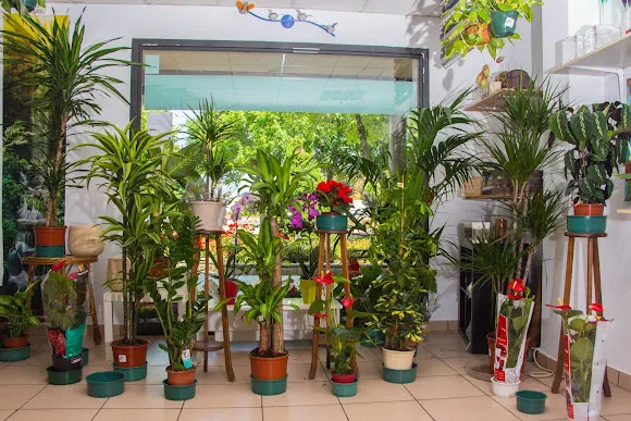 Flores y Plantas J.V. - Sevilla la Nueva