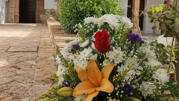 Floristería José María ESTEPAFLOR - Estepa