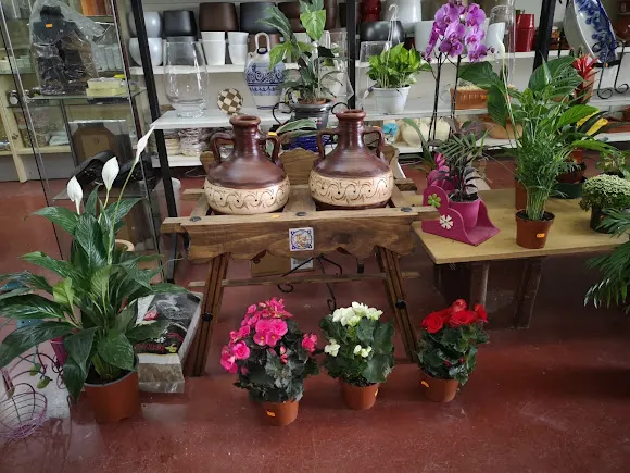 SEMILLERIA-FLORISTERÍA AVENIDA - La Puebla de Cazalla