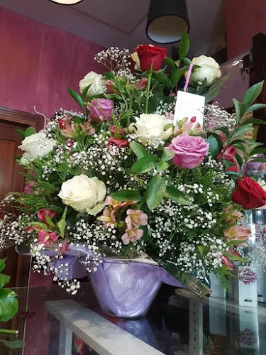 Floristería Camelía - Sevilla