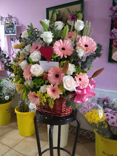 Floristería Jardin de Maku - Marchena