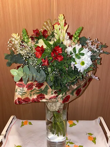 Bambú Floristería Sevilla - Sevilla