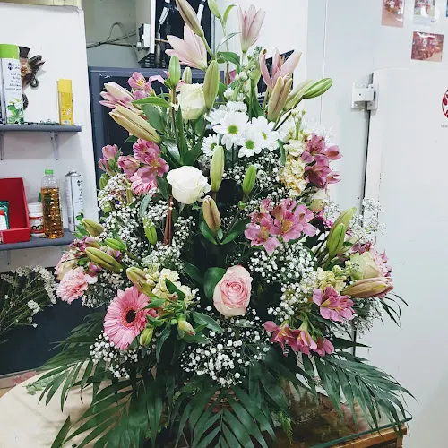 Floristería Azahar - Floristería en Sevilla - Sevilla
