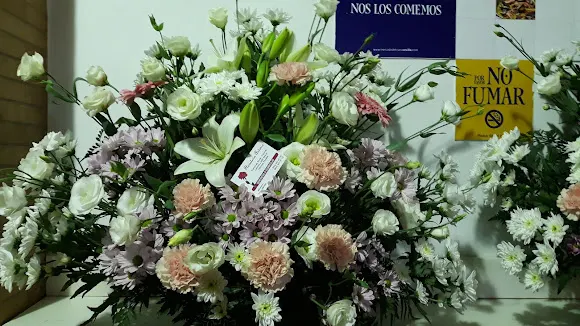 Floristería Antonio - Sevilla