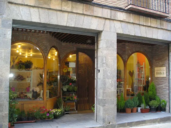 Floristería Trébol - Agreda