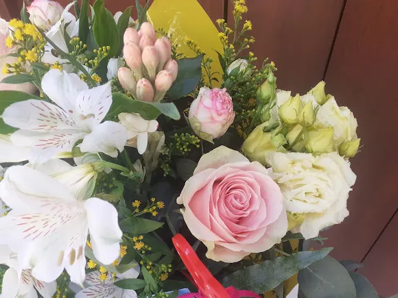 Pétalos, la floristeria de Bollullos - Bollullos Par del Condado