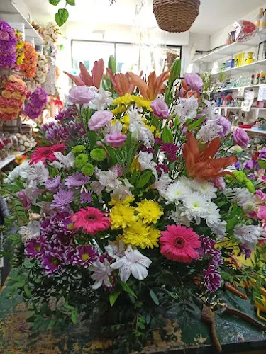 Floristería Mª Luisa - Sevilla