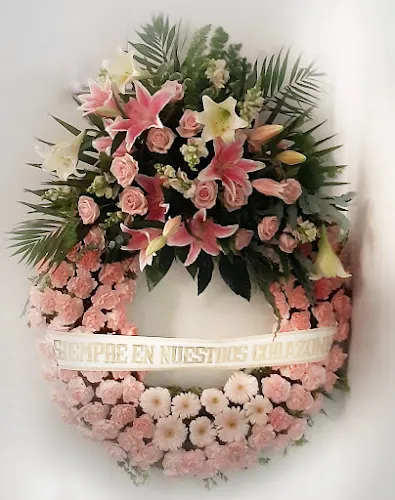 Silvia Cid Floristeria. Soria - Almazán