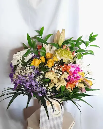 Floristería Mónica II - Hospital - Soria