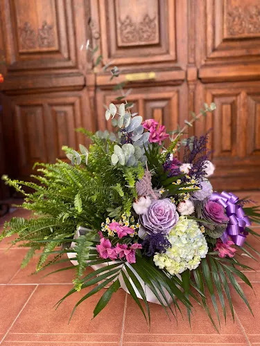 Rosifloristas - Santa Cruz de la Zarza