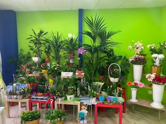 Ruda Arte Floral - Sesena