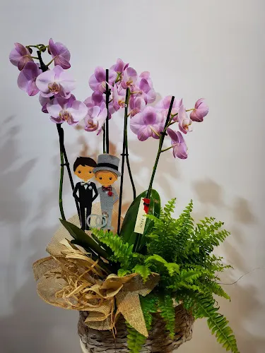 Floristería J.PROS - Tarragona
