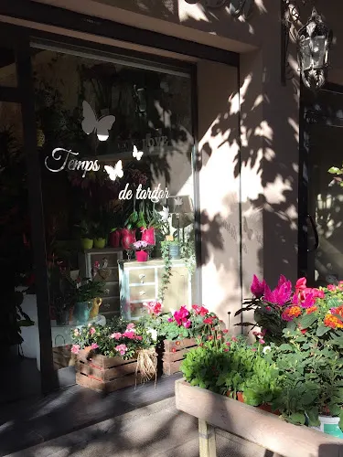 NOVA ART INTERIORISME+FLORS - Flix
