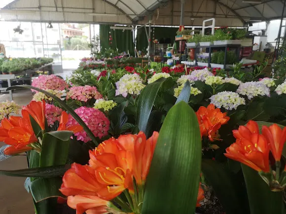 Centre de jardineria pobla plant - La Pobla de Montornes