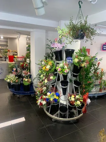 FLOWER WORLD TARRAGONA