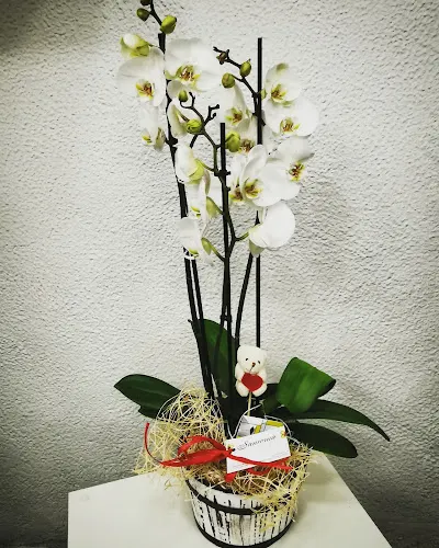 Floristeria Sanromà - El Vendrell