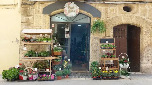 Pupi Flors - Torredembarra