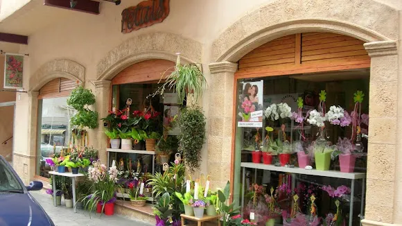 Floristeria Pètals Torredembarra - Torredembarra